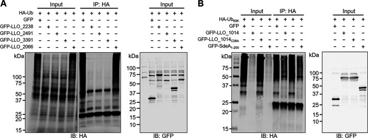 FIG 6