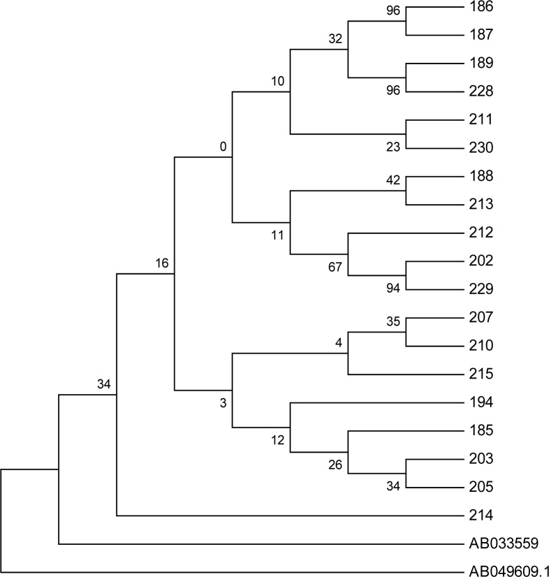 Fig. 1: