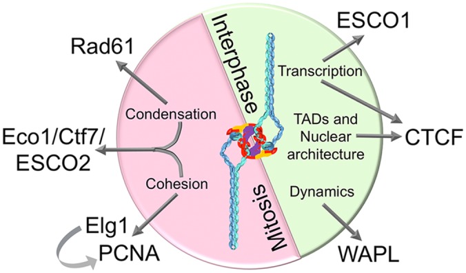 Fig 3