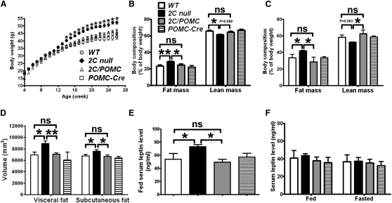 Figure 3