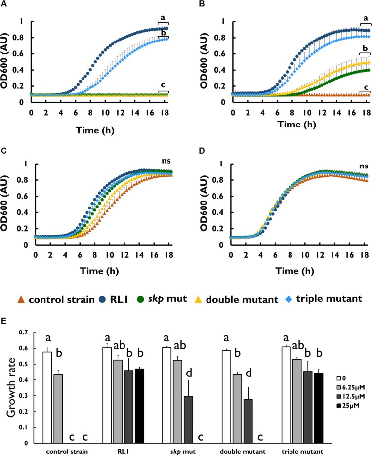 FIGURE 4