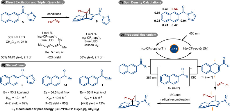 Scheme 6