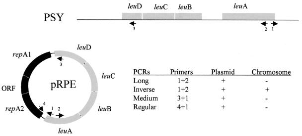 FIG. 1.