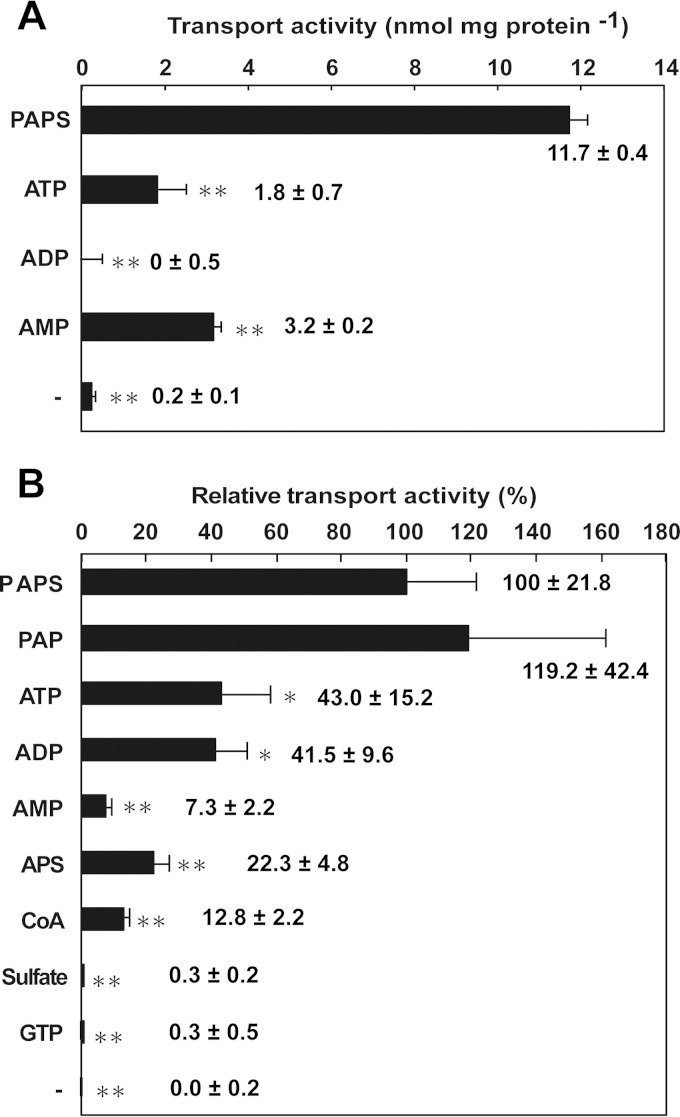 FIG 3