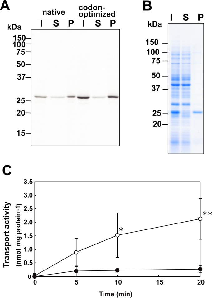 FIG 2