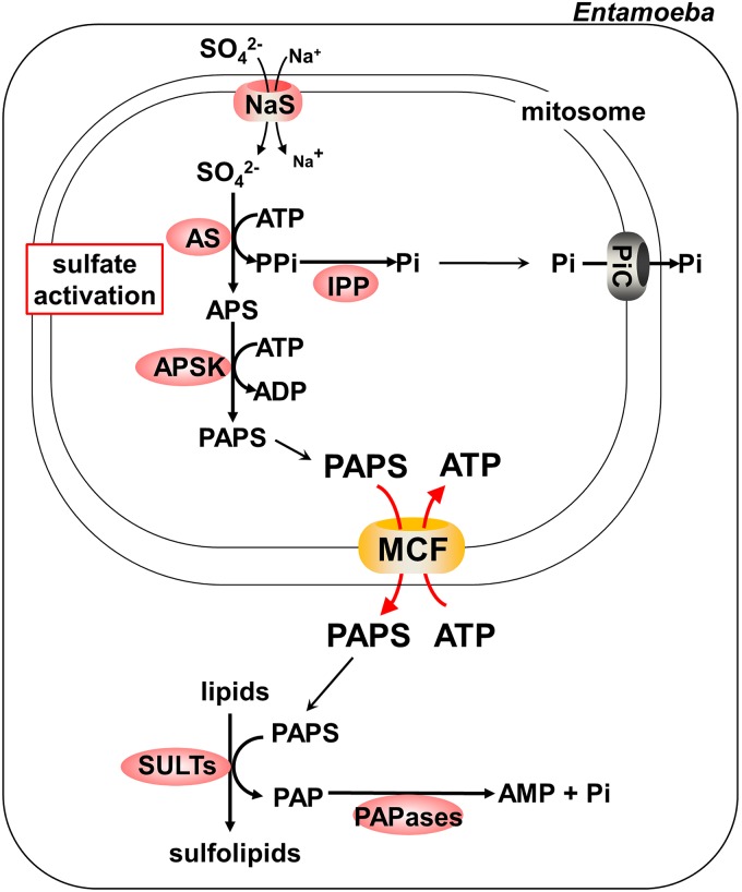 FIG 5