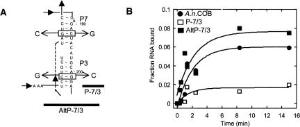 FIGURE 4.