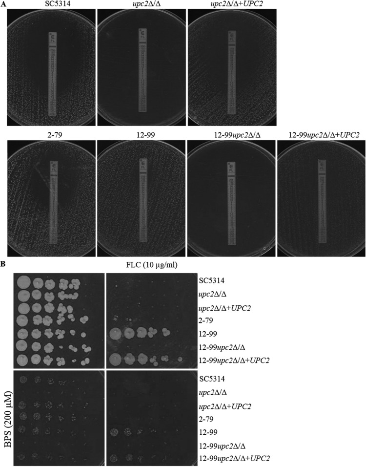 FIG 6