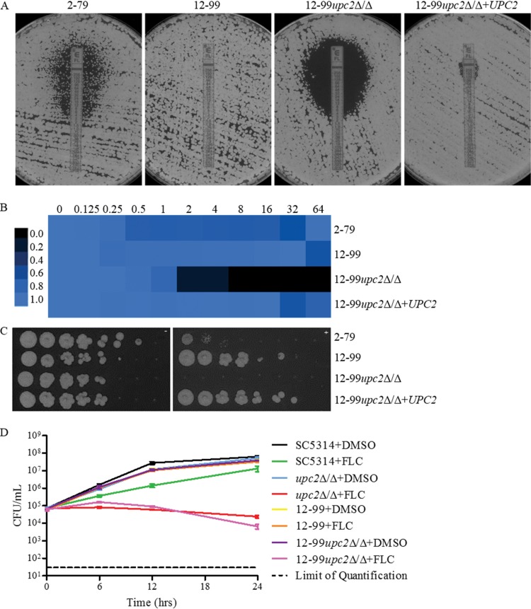 FIG 3