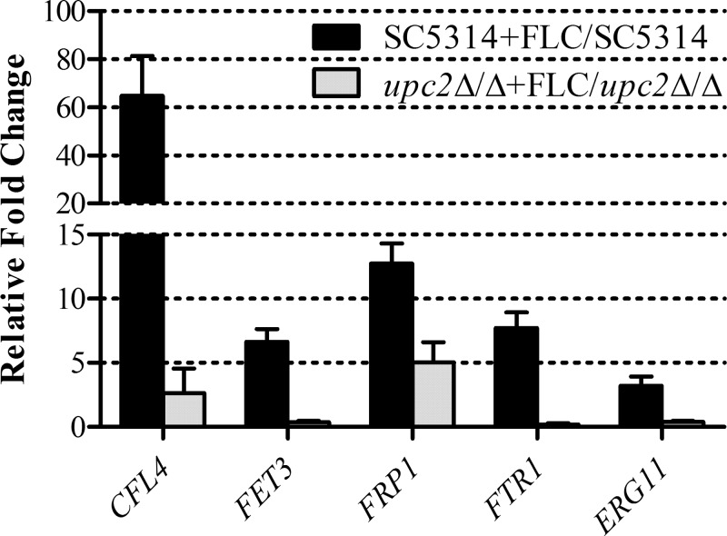 FIG 5