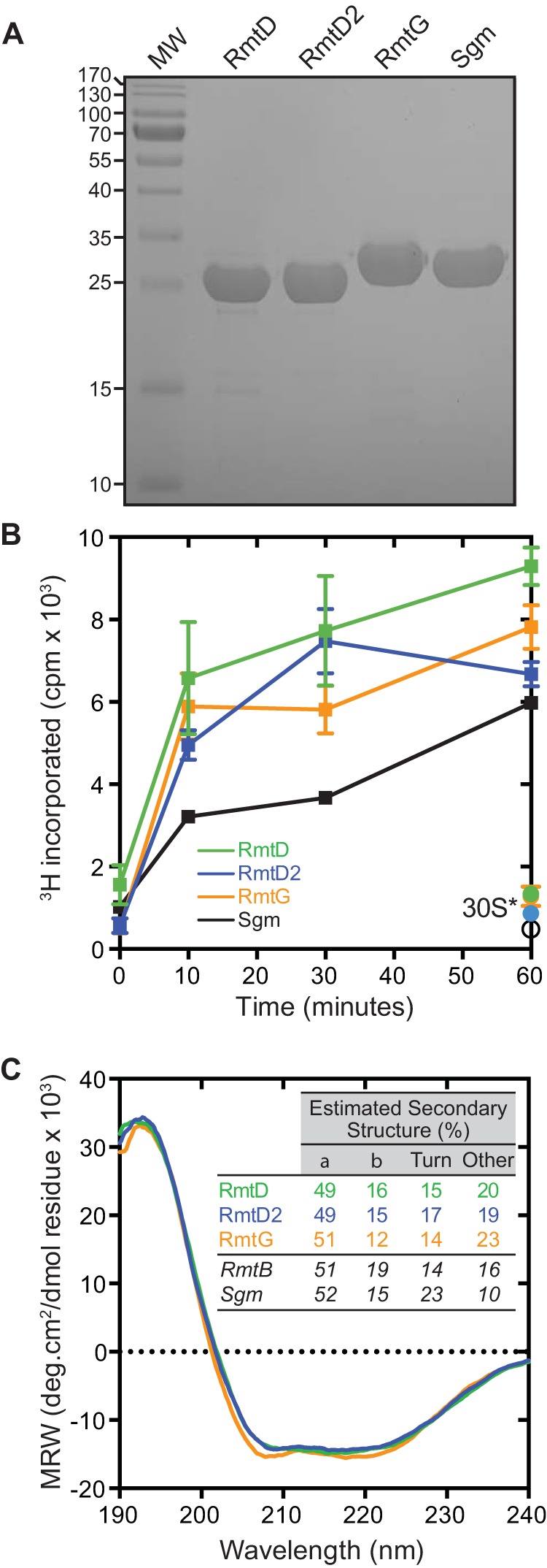 FIG 1