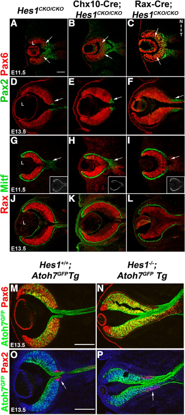 Figure 3.