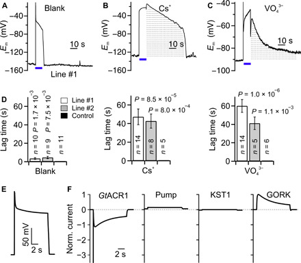 Fig. 6