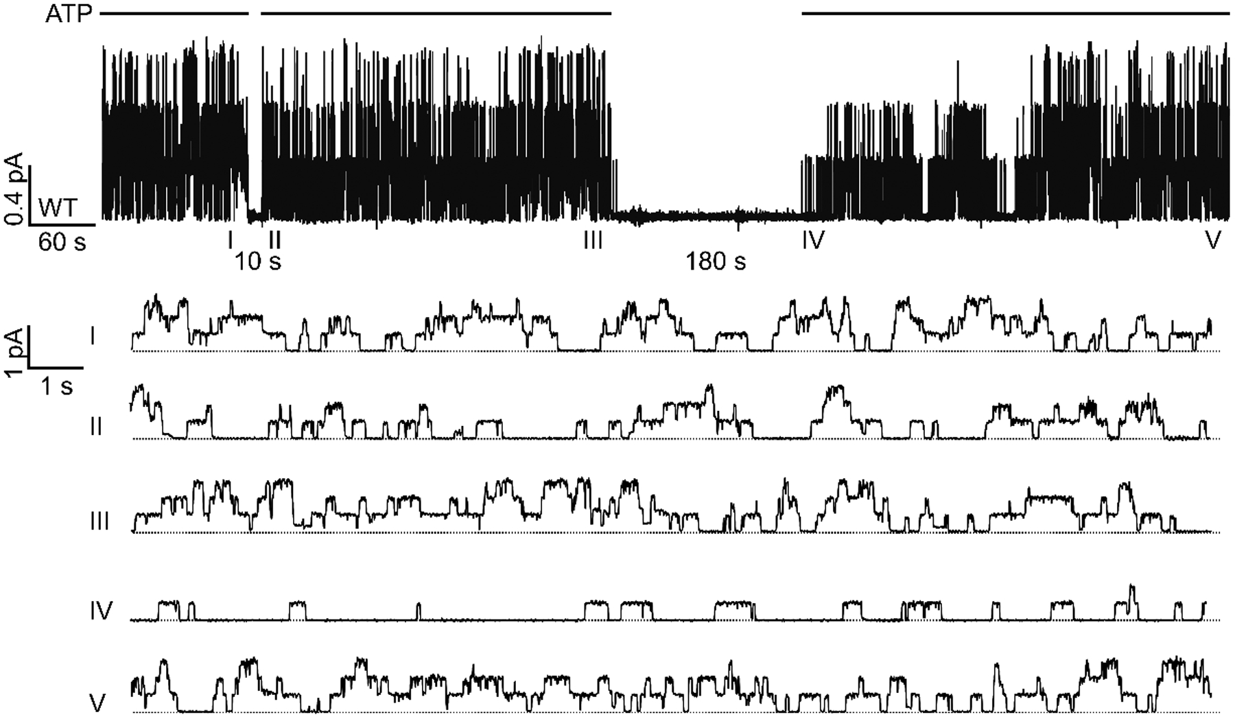 Figure 3.