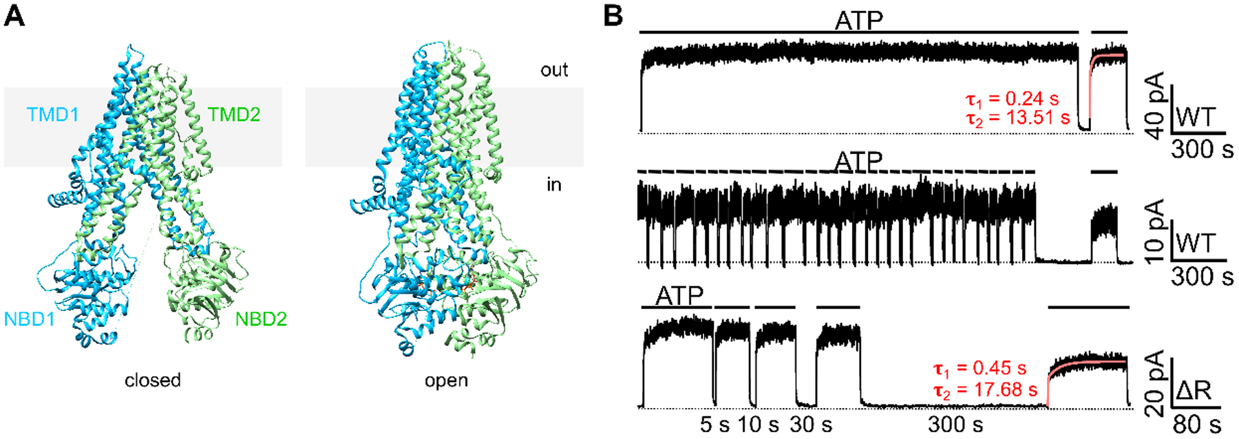 Figure 1.