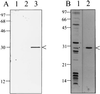 FIG. 8
