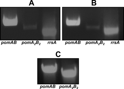 FIG. 3.