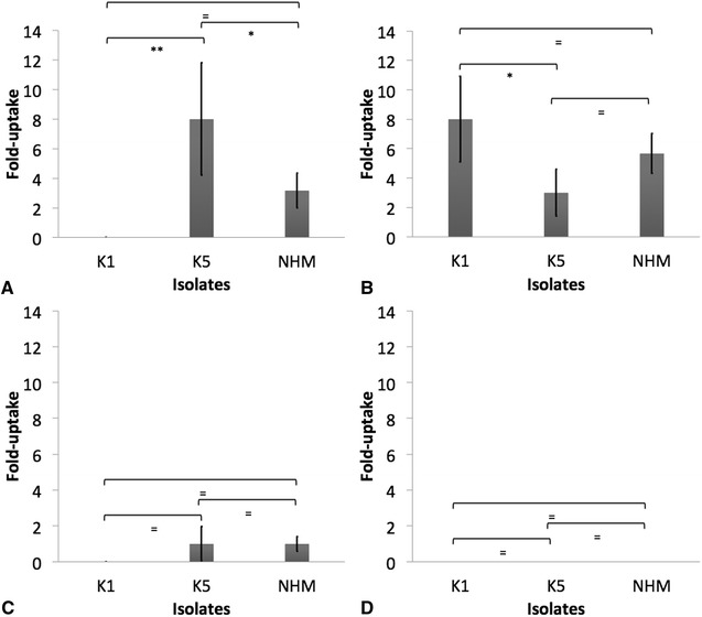 Figure 6