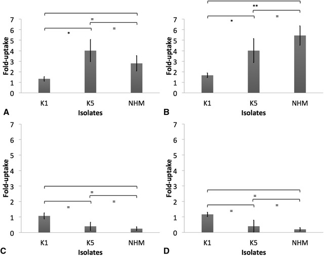 Figure 7