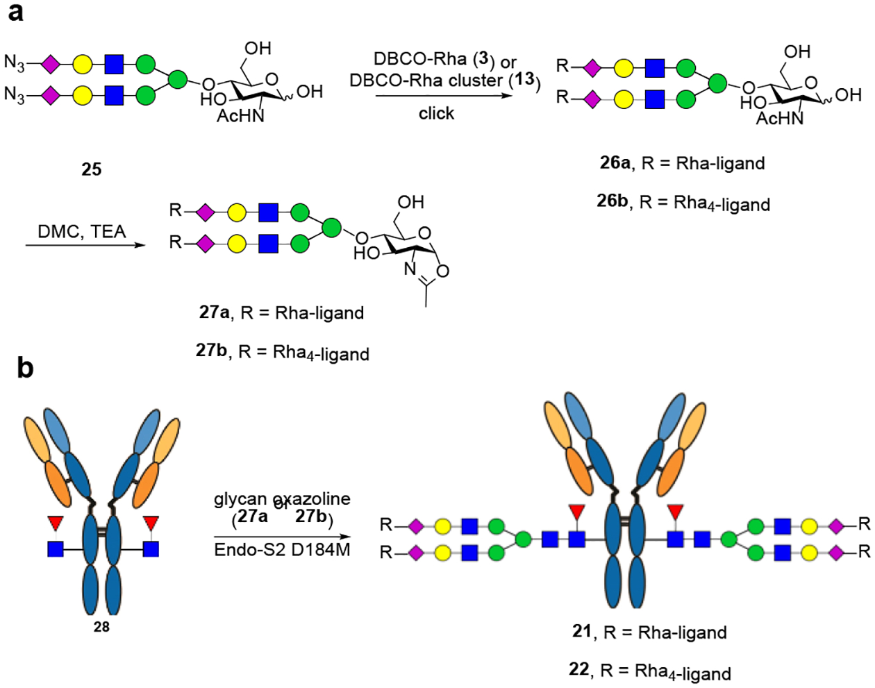 Scheme 4.