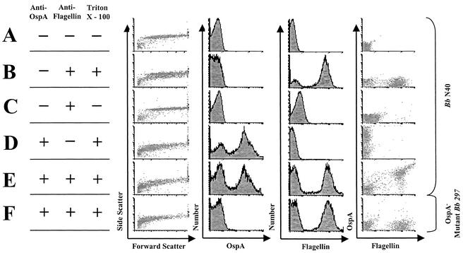 FIG. 2.