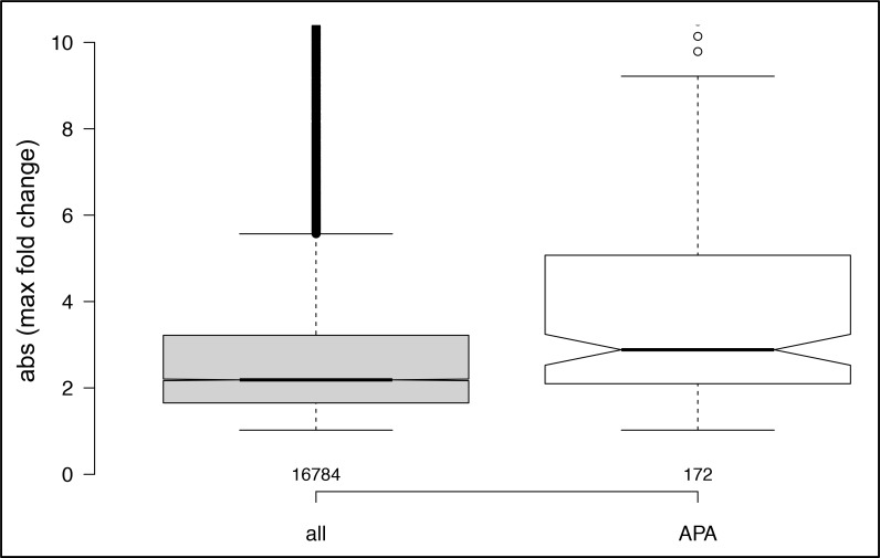 Fig 5