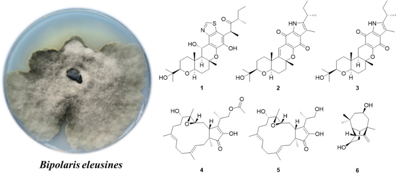 graphic file with name 13659_2023_407_Figa_HTML.jpg