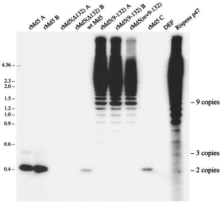 FIG. 4.