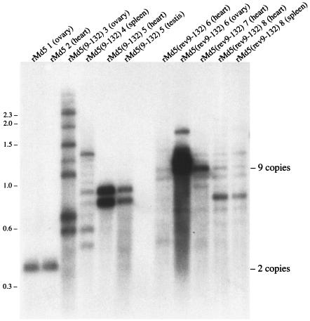 FIG. 7.