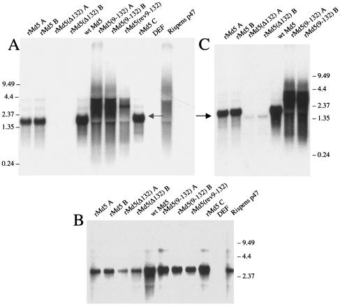 FIG. 5.