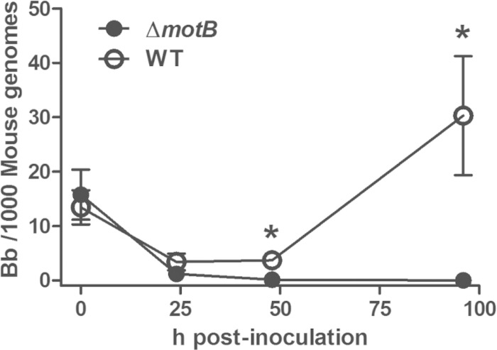 FIG 4