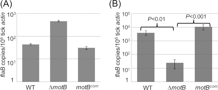 FIG 6