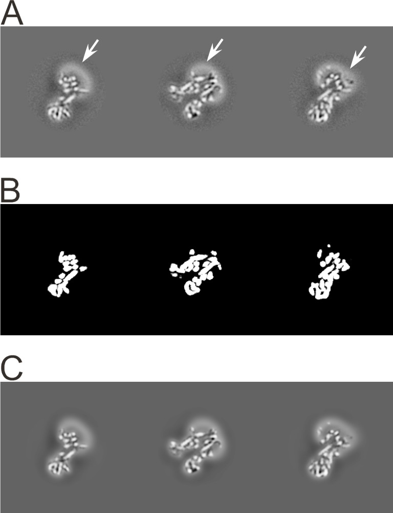 Figure 5.