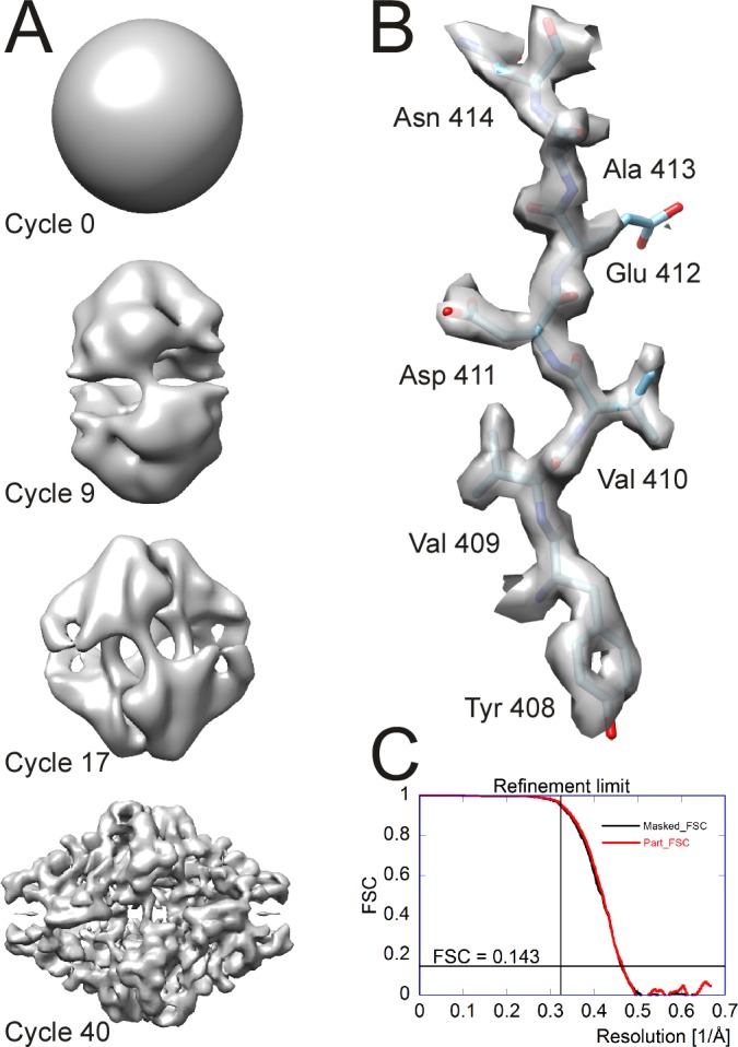 Figure 7.