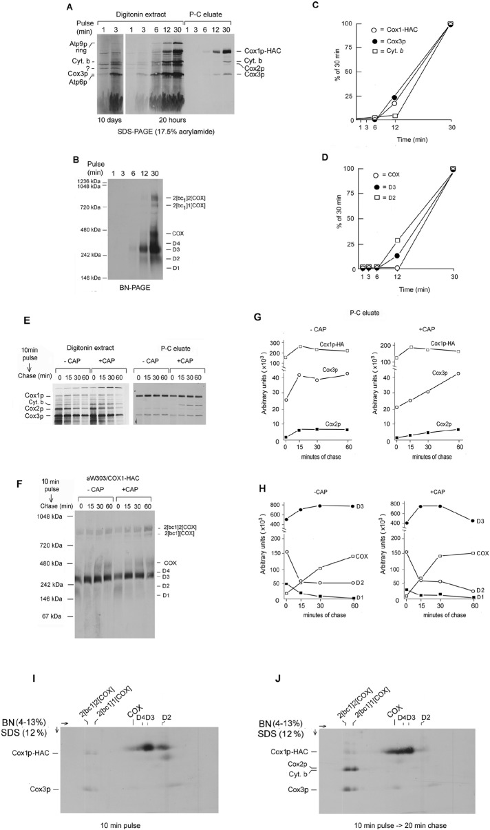 FIGURE 3: