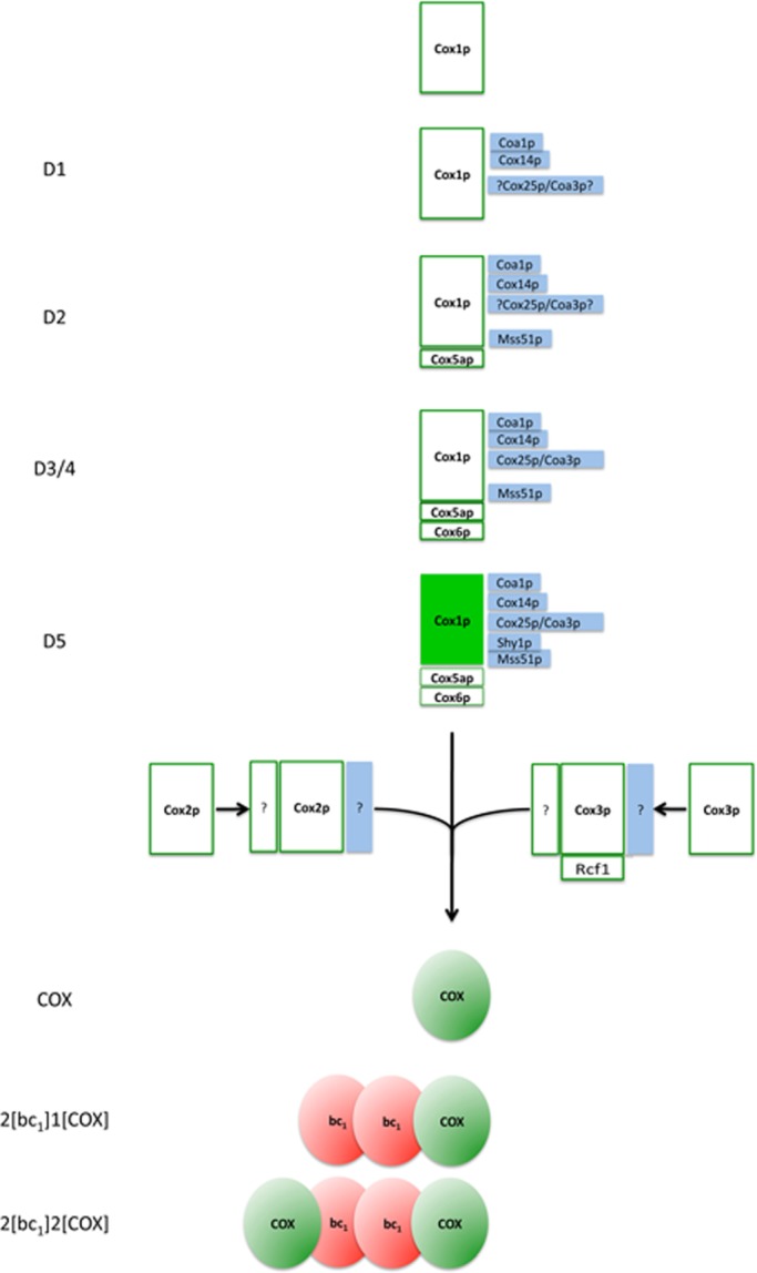 FIGURE 7: