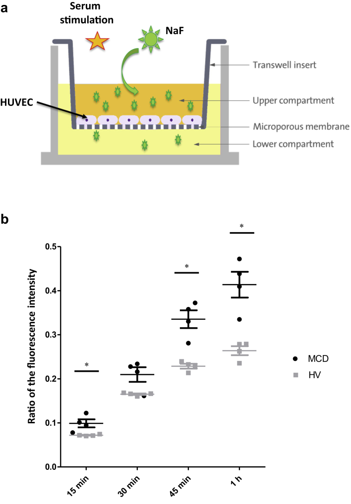 Figure 2