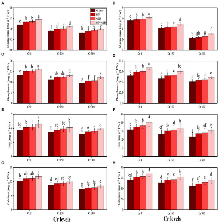 Figure 5