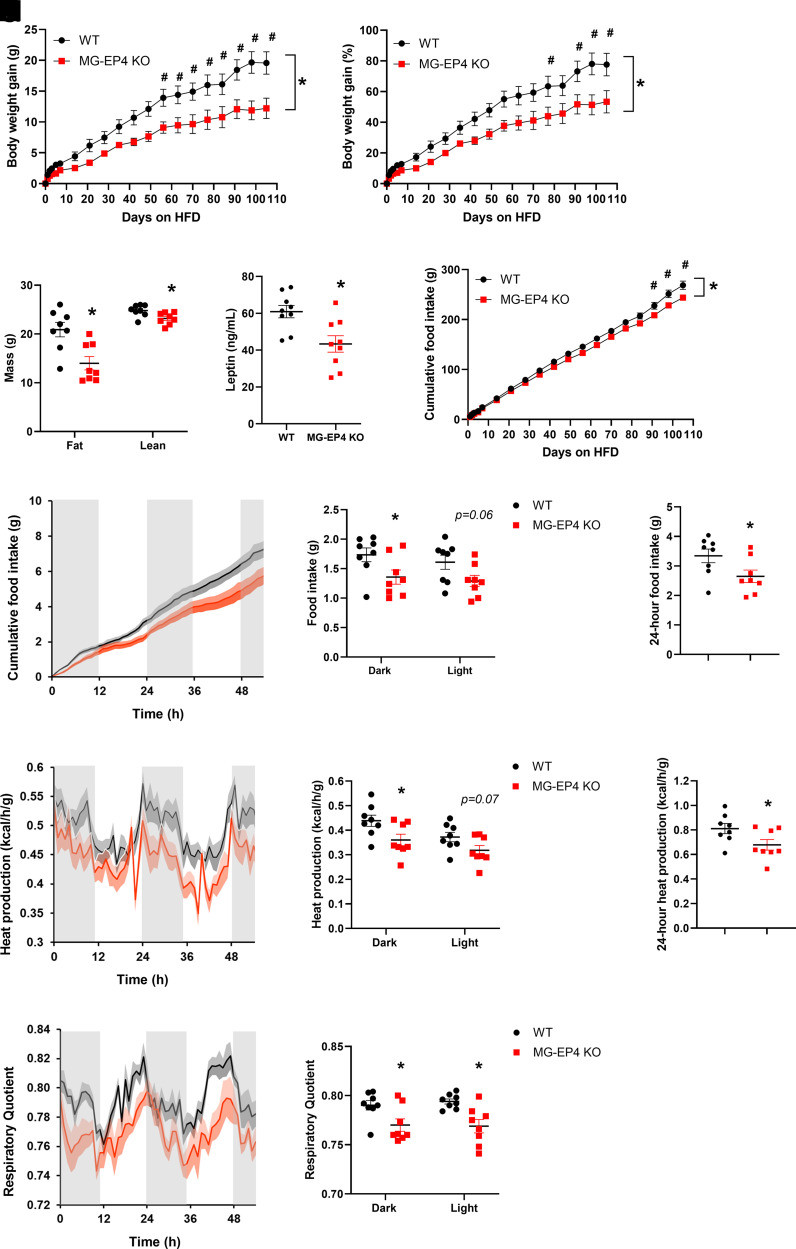 Prostaglandin PGE2 Receptor EP4 Regulates Microglial Phagocytosis and ...