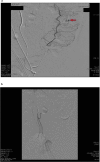 Fig. 4