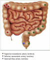 Fig. 3
