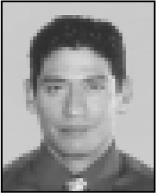 graphic file with name permj7_1p0024f2.jpg