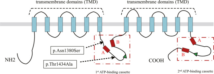 FIGURE 2