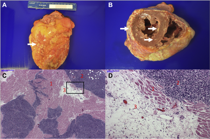 Figure 6