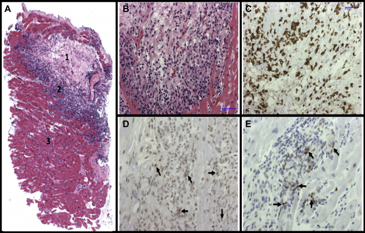 Figure 4