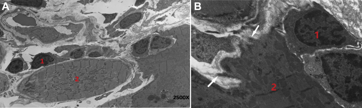 Figure 2