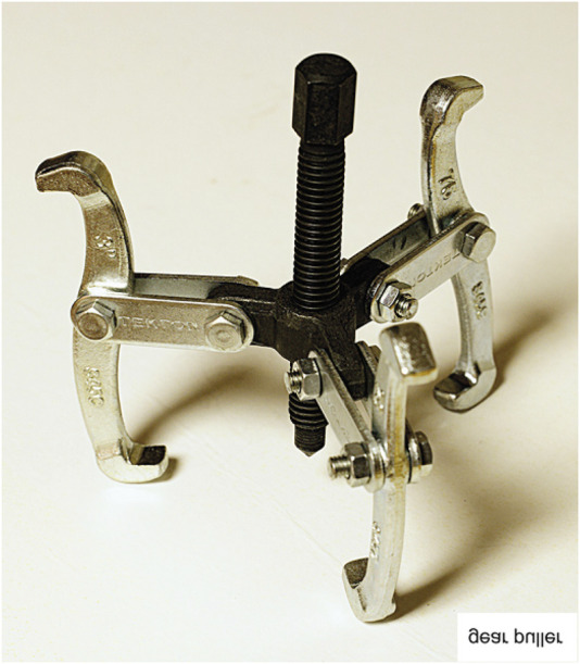 FIGURE 1