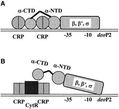 graphic file with name cde534f8.jpg