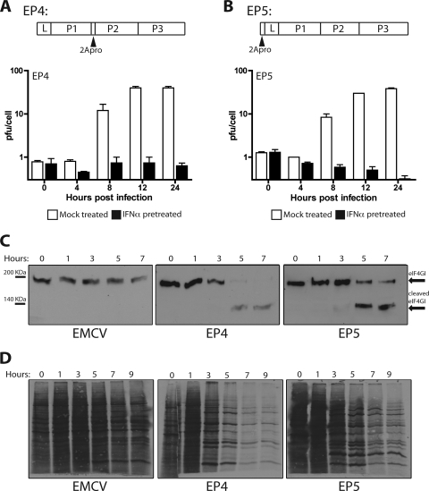 FIG. 8.