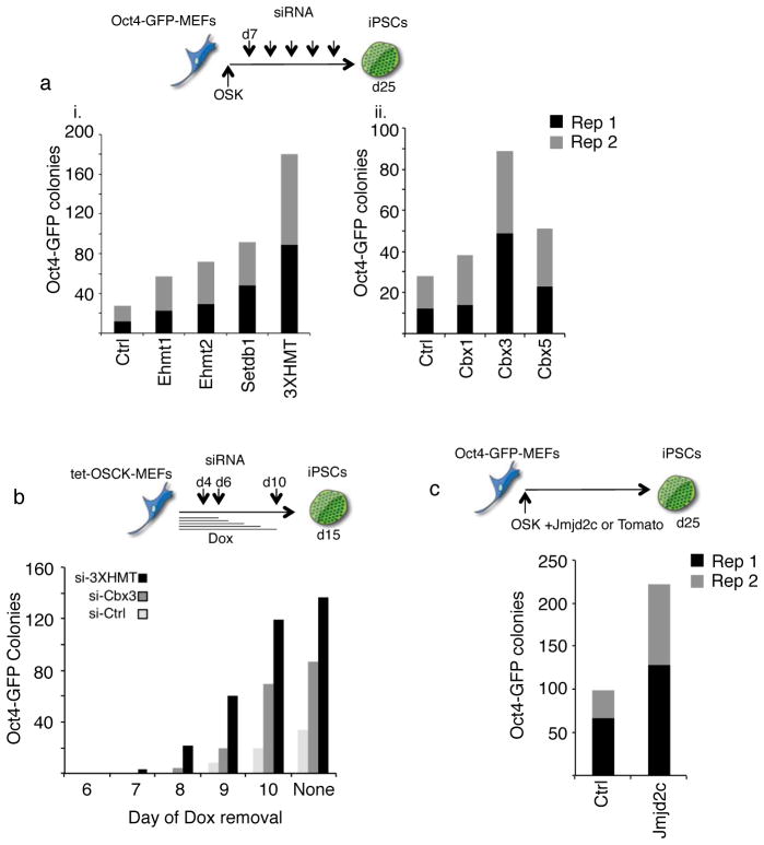 Proteomic and genomic approaches reveal critical functions of H3K9 ...